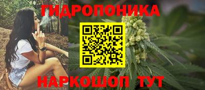 индика Будённовск